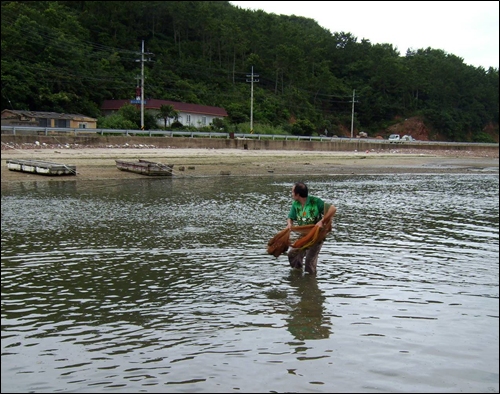 으라차! 그물던지기 